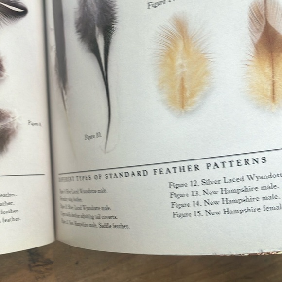 The Fairest Fowl: Portraits of Championship Chickens Book by Tamara Staples - Picture 13 of 16